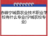 赤峰宁城县农业技术职业学校有什么专业(宁城农校专业)