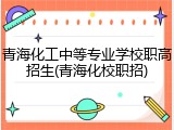 青海化工中等专业学校职高招生(青海化校职招)
