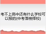 考不上高中还有什么学校可以报的(中考落榜择校)