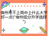 宿州考不上高中上什么大学好一点("宿州低分升学选择")