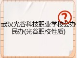 武汉光谷科技职业学校公办民办(光谷职校性质)