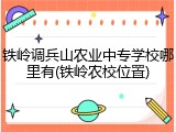 铁岭调兵山农业中专学校哪里有(铁岭农校位置)