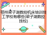 鄂州梁子湖数控机床培训技工学校有哪些(梁子湖数控技校)