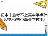 初中毕业考不上高中学点什么技术(初中毕业学技术)