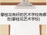 攀枝花有好的艺术学校有哪些(攀枝花艺术学校)