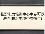 临汾电力培训中心中专可以进吗(临汾电校中专招生)