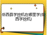 岳西县学挖机在哪里学(岳西学挖机)