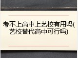 考不上高中上艺校有用吗(艺校替代高中可行吗)