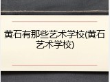 黄石有那些艺术学校(黄石艺术学校)