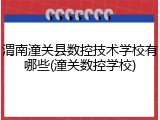 渭南潼关县数控技术学校有哪些(潼关数控学校)