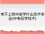 考不上高中该学什么技术专业(中考后学技术)