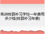 株洲攸县补习学校一年费用多少钱(攸县补习年费)