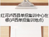 红河泸西县单招集训中心在哪(泸西单招集训地点)