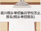 嘉兴桐乡单招集训学校怎么报名(桐乡单招报名)