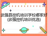 武强县挖机培训学校哪家好(武强挖机培训优选)