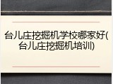 台儿庄挖掘机学校哪家好(台儿庄挖掘机培训)