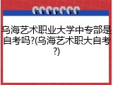 乌海艺术职业大学中专部是自考吗?(乌海艺术职大自考?)