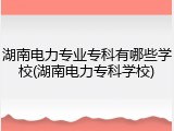 湖南电力专业专科有哪些学校(湖南电力专科学校)