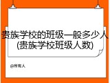 贵族学校的班级一般多少人(贵族学校班级人数)