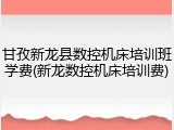 甘孜新龙县数控机床培训班学费(新龙数控机床培训费)