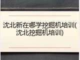 沈北新在哪学挖掘机培训(沈北挖掘机培训)