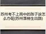 苏州考不上高中的孩子该怎么办呢(苏州落榜生出路)