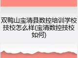 双鸭山宝清县数控培训学校技校怎么样(宝清数控技校如何)