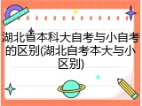 湖北省本科大自考与小自考的区别(湖北自考本大与小区别)