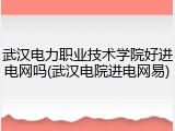 武汉电力职业技术学院好进电网吗(武汉电院进电网易)