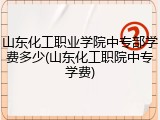 山东化工职业学院中专部学费多少(山东化工职院中专学费)