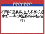 湘西泸溪县数控技术学校哪家好一点(泸溪数控学校推荐)