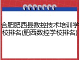 合肥肥西县数控技术培训学校排名(肥西数控学校排名)