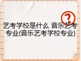 艺考学校是什么 音乐艺考专业(音乐艺考学校专业)
