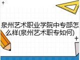 泉州艺术职业学院中专部怎么样(泉州艺术职专如何)