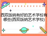 西双版纳有好的艺术学校有哪些(西双版纳艺术学校)