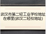 武汉市第二轻工业学校地址在哪里(武汉二轻校地址)