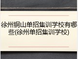 徐州铜山单招集训学校有哪些(徐州单招集训学校)