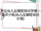 枣庄台儿庄编程培训学费一般多少钱(台儿庄编程培训价格)