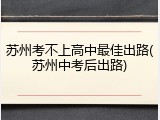 苏州考不上高中最佳出路(苏州中考后出路)