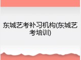 东城艺考补习机构(东城艺考培训)