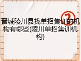 晋城陵川县找单招集训的机构有哪些(陵川单招集训机构)