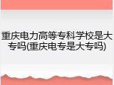 重庆电力高等专科学校是大专吗(重庆电专是大专吗)