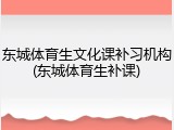 东城体育生文化课补习机构(东城体育生补课)