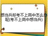 想当兵却考不上高中怎么办呢(考不上高中想当兵)