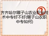 齐齐哈尔碾子山农业职业技术中专好不好(碾子山农职中专如何)