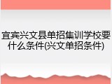 宜宾兴文县单招集训学校要什么条件(兴文单招条件)