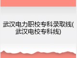 武汉电力职校专科录取线(武汉电校专科线)