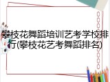 攀枝花舞蹈培训艺考学校排行(攀枝花艺考舞蹈排名)