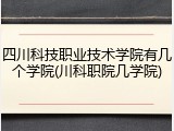 四川科技职业技术学院有几个学院(川科职院几学院)