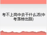 考不上高中去干什么活(中考落榜出路)